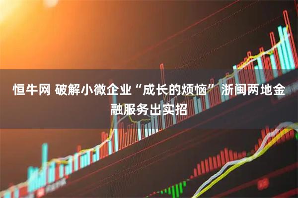 恒牛网 破解小微企业“成长的烦恼” 浙闽两地金融服务出实招