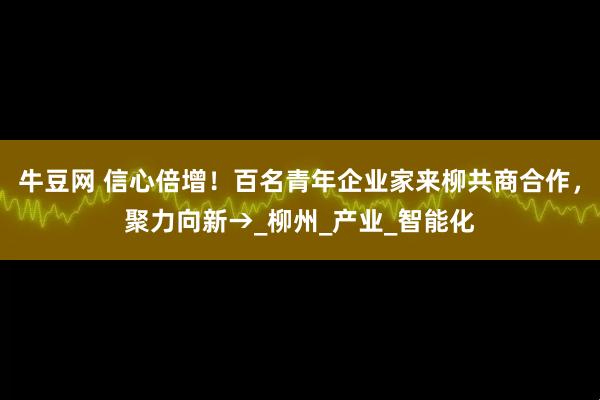 牛豆网 信心倍增！百名青年企业家来柳共商合作，聚力向新→_柳州_产业_智能化
