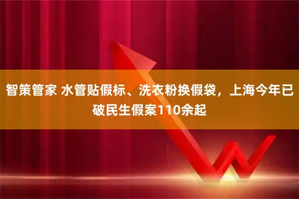 智策管家 水管贴假标、洗衣粉换假袋，上海今年已破民生假案110余起